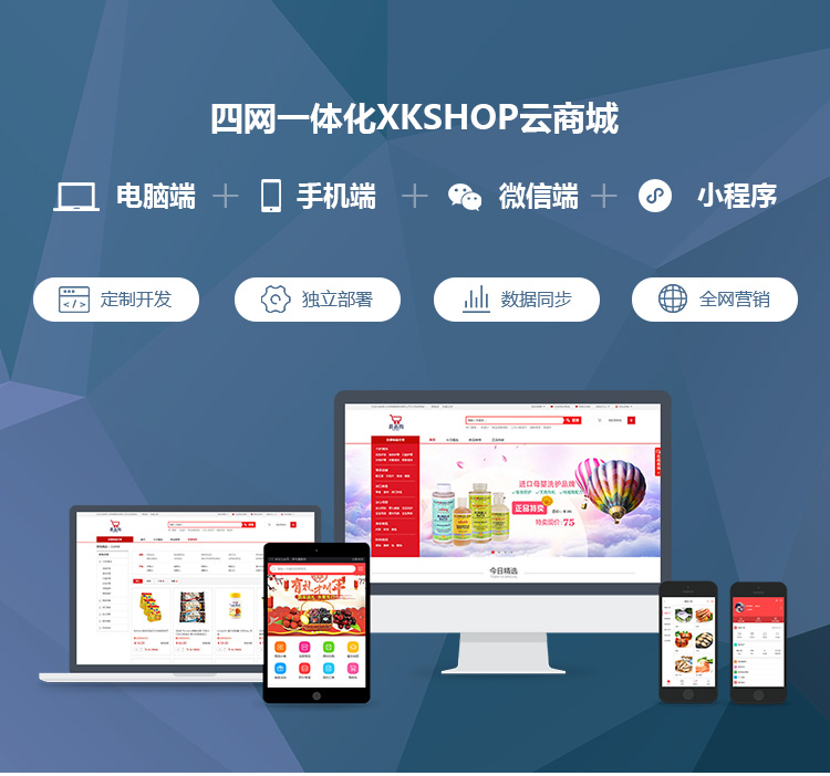 商城网站开发